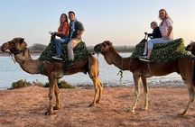 Sunset camel with barbecue dinner