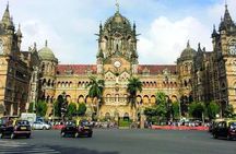 Private City Tour With Guide & Transport 