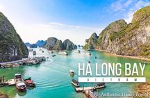 Full-Day Halong Bay Islands and Cave Tour Transfer 2 Ways by Newest Expressway