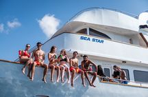 Sea Star | Half Day Cruise