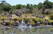 Masai Mara classic safari with optional Masai Village