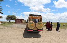 5 Days Tanzania Big Five Camping | Lodge Safari