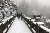 Winterland Tour to Bohemian and Saxon Switzerland from Prague