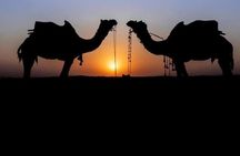 Overnight Camel Safari Private Tour
