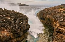 Bali Nusa Penida West Private All-Inclusive Tour