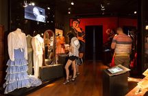 Combined ticket: Puro Flamenco Show + Flamenco Museum visit