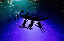 Night Manta Snorkel Tour