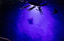 Night Manta Snorkel Tour