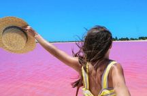 Las Coloradas Amazing Pink Lake & Rio Lagartos from Tulum