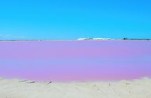 Las Coloradas Amazing Pink Lake & Rio Lagartos from Tulum