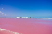 Las Coloradas Amazing Pink Lake & Rio Lagartos from Tulum