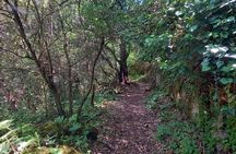 Cavagrande hiking tour