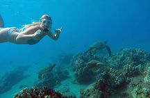 San Juan Guided Snorkel With Turtles Tour and Videos
