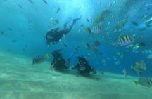 Private Scuba Diving 2 tanks at Mar de Cortés !!