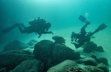 Private Scuba Diving 2 tanks at Mar de Cortés !!