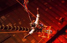 All-inclusive Xcaret Park with Transportation from Cancun & Playa Del Carmen
