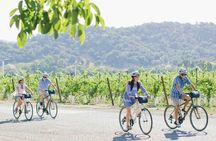 Half-Day Napa Valley E-Bike Tour