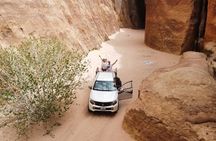4x4 Full-Day Desert Tour