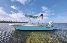 2-Hour Private Sightseeing Dolphin Tour in Panama City Beach