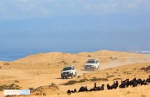 Private 4x4 Jeep Tour Atlanic Sahara and Ocean with Berber Lunch 