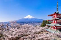 Mt.Fuji and Hakone Tour