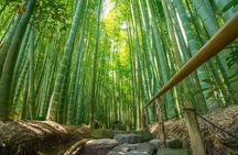 Kamakura Historical and Cultural Day Trip with Local Cuisine 