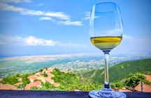 Kakheti Wine Tour for beginners - 3 wineries