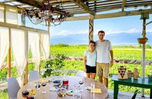 Organic wine tasting tour of Kakheti with lunch at a winery