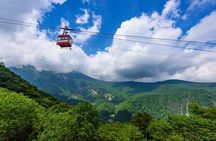Explore the Culture and History of Nikko with this Private Tour