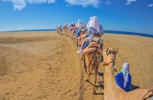 Outback Camel Ride