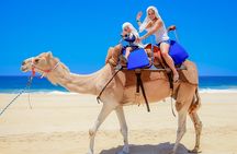 Outback Camel Ride