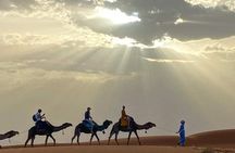 Sunset and Dinner with show in agafay desert 
