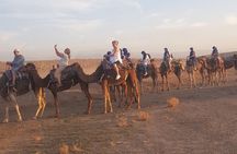 Sunset and Dinner with show in agafay desert 