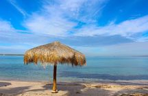 Playa Balandra with Beach Experience and La Paz Guided Tour! La Paz Round Trip