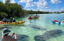Guided Island EcoTour: CLEAR/Standard Kayak, SUP - Bonita Springs