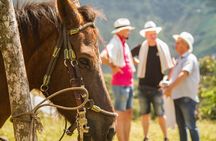Coffee Tour In Horse Riding and Lunch In Medellin