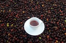 Coffee Tour in Medellin, Transportation, Snack and Lunch.