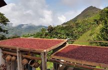 Coffee Tour in Medellin, Transportation, Snack and Lunch.