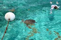 Turtle Garden Snorkeling Tour and Island Break 