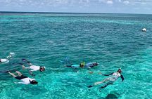 Turtle Garden Snorkeling Tour and Island Break 