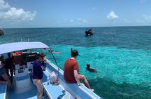 Second largest Barrier Reef Adventure