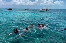Second largest Barrier Reef Adventure