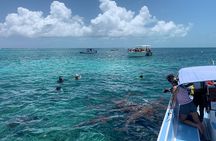 Second largest Barrier Reef Adventure
