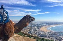 Best Private Agadir City Tour 