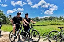 Ubud Wonderful Afternoon Downhill Cycling Tour 