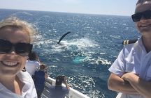 2 hour whale watching experience departing Hillarys Boat Harbour