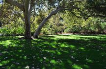 Hike in the Santa Monica Mountains