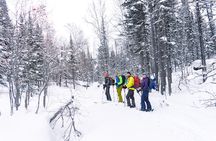 6-Day Kazakhstan Ridder Camp Ski Private Guided Tour and Adventure 
