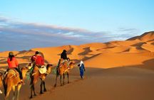2 Day Private Fez Desert Tour to Merzouga