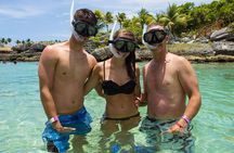 Xcaret Plus Park Tour with Transportation from Riviera Maya